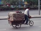 Pallegods